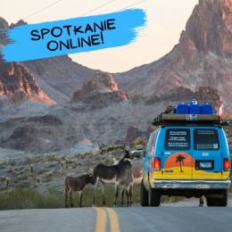 Zdjęcie kolorowego busa stojącego na asfaltowej drodze otoczonej skalistymi górami. Z lewej strony busa stoi niewielkie stado osłów