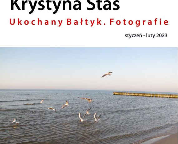 zdjęcie latających mew nad wodami Bałtyku