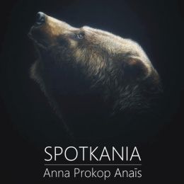 Fragment plakatu z rysunkiem niedźwiedzia, tytuł: "Spotkania" - Anna Prokop Anais