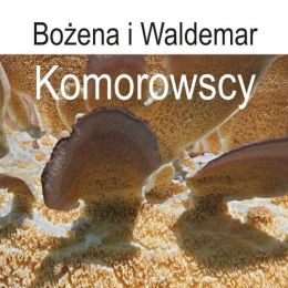 Fotografia przedstawiająca grzyby - fragment plakatu promującego wystawę Komorowskich