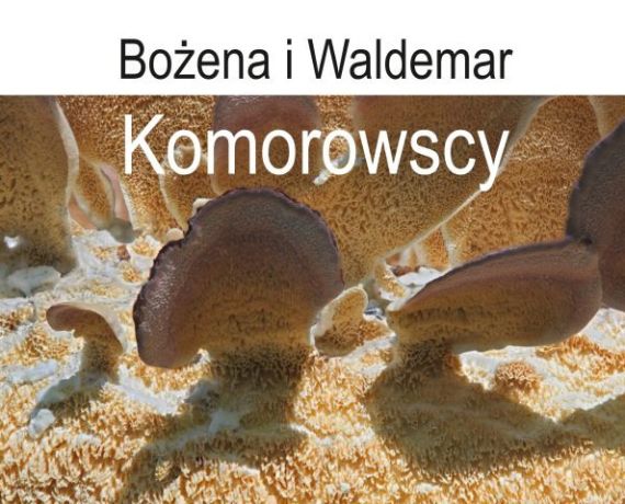 Fotografia przedstawiająca grzyby - fragment plakatu promującego wystawę Komorowskich